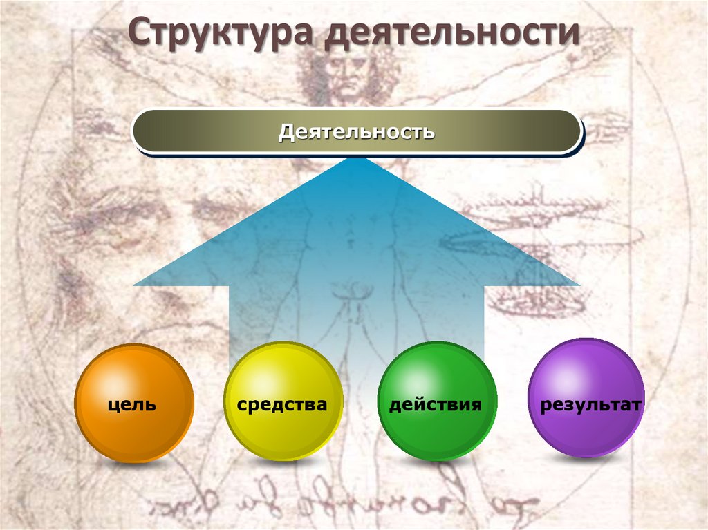 Структура деятельности