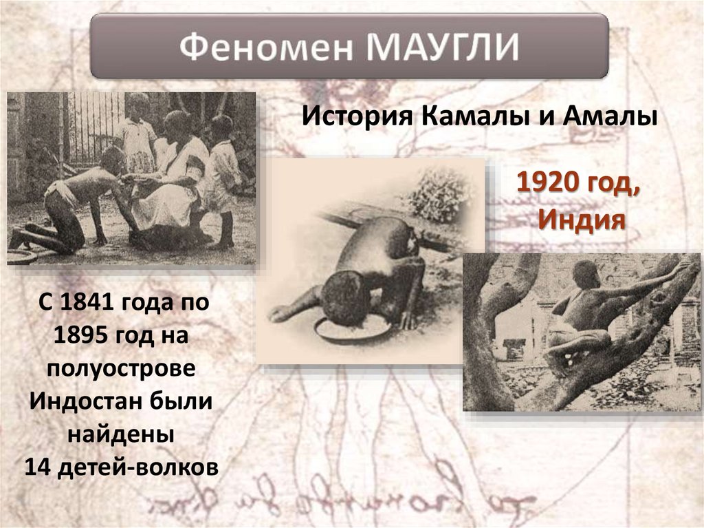 Феномен МАУГЛИ