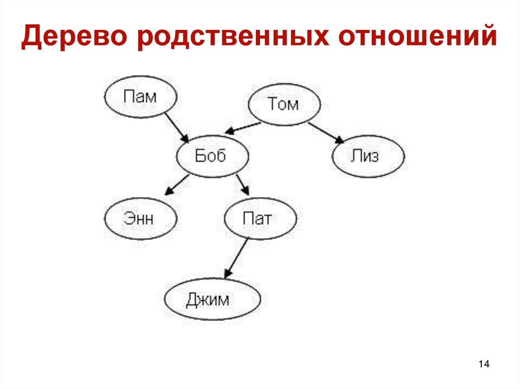 Дерево родственных отношений