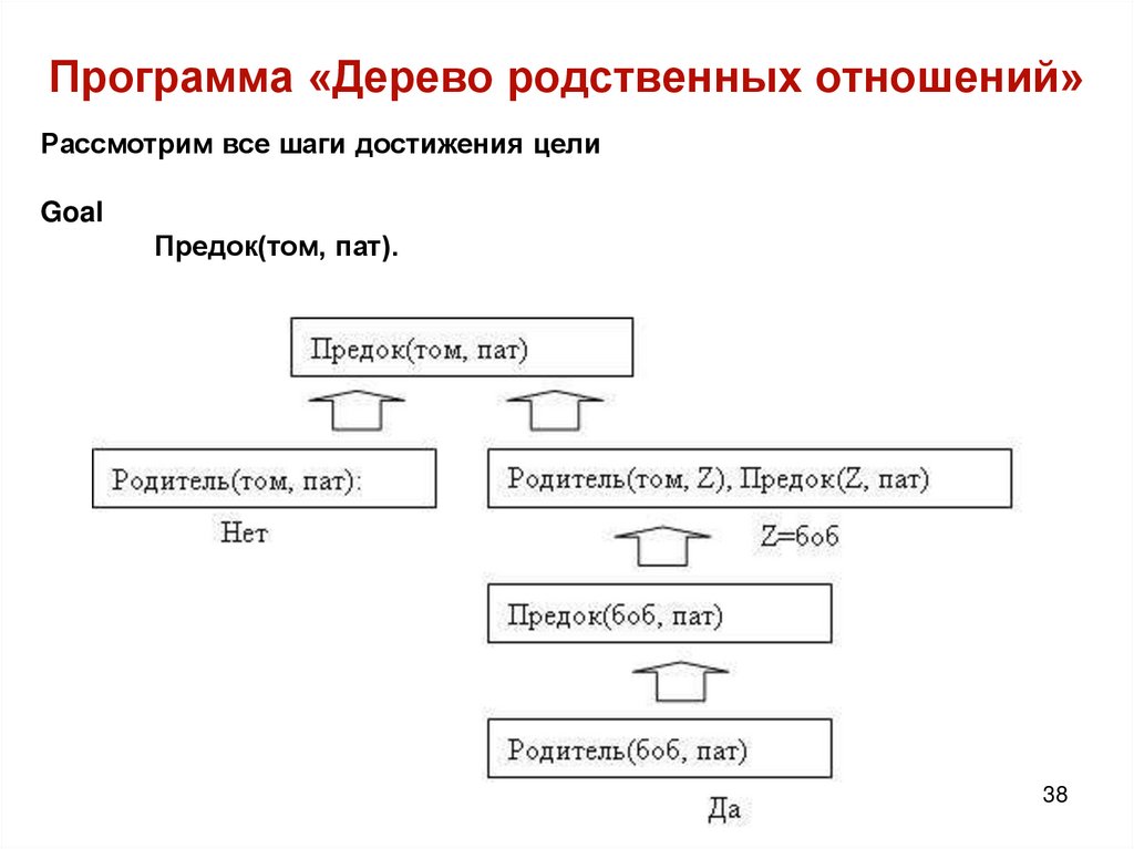 Программа «Дерево родственных отношений»