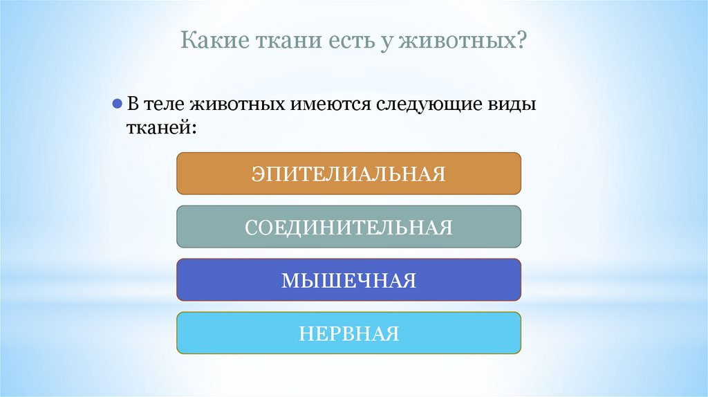 Какие ткани есть у животных?