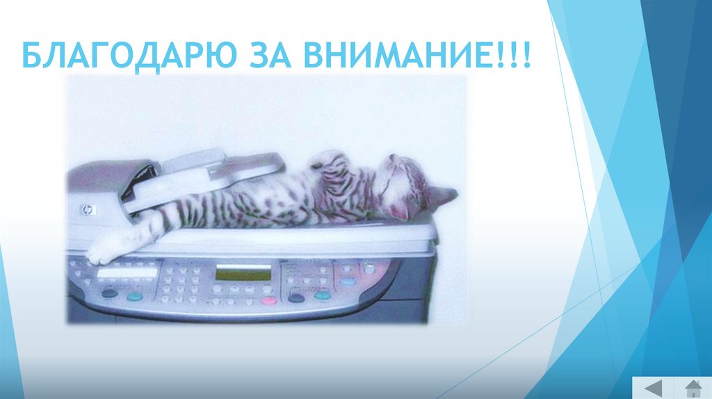 БЛАГОДАРЮ ЗА ВНИМАНИЕ!!!