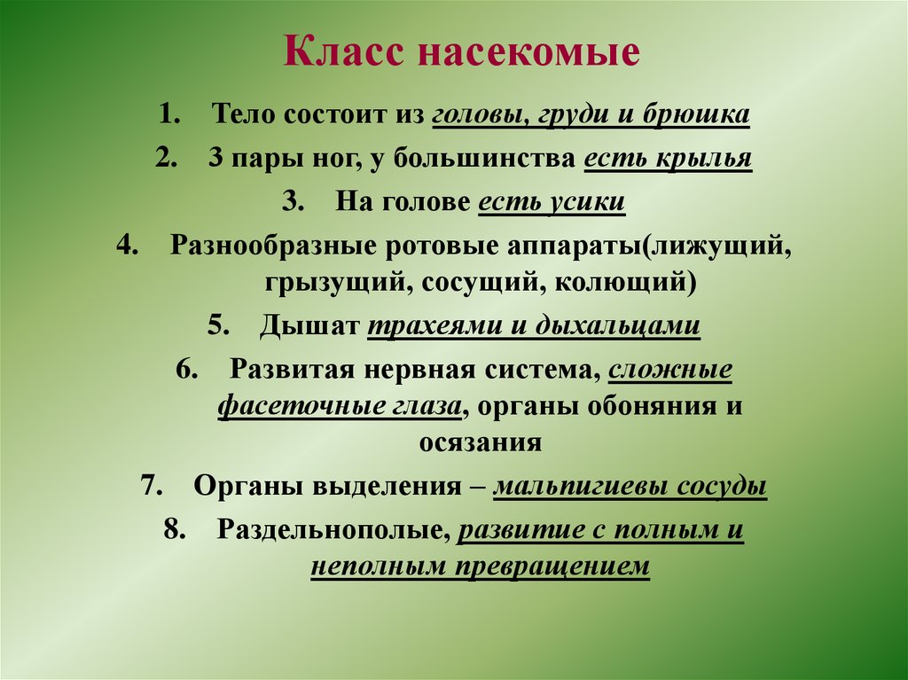Класс насекомые