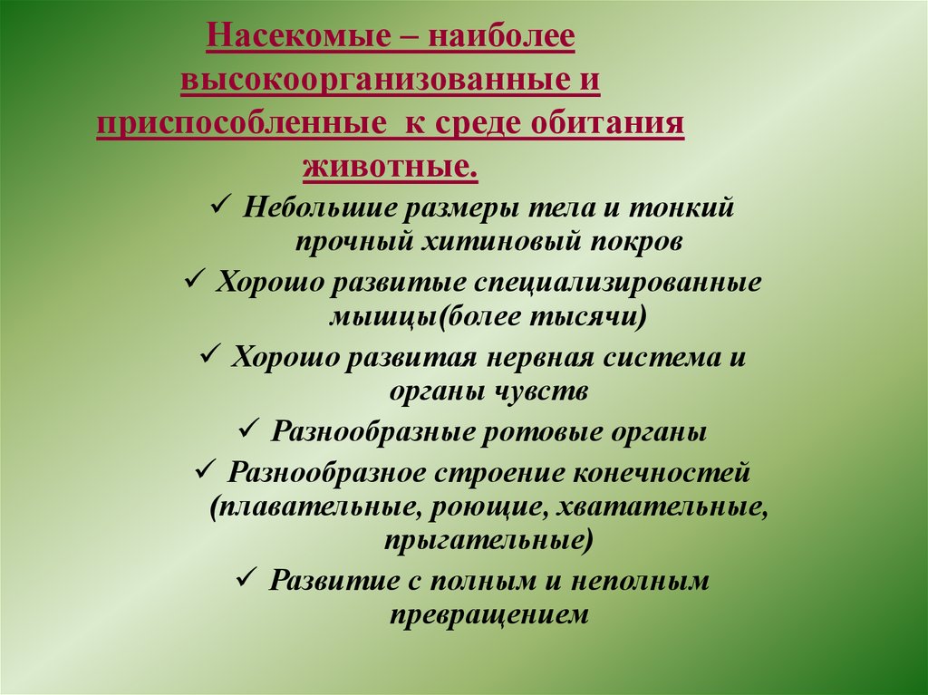 Насекомые – наиболее высокоорганизованные и приспособленные к среде обитания животные.