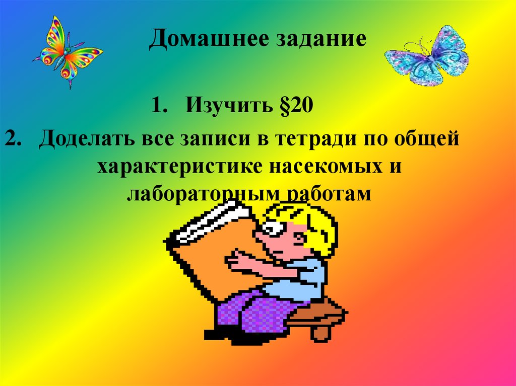 Домашнее задание