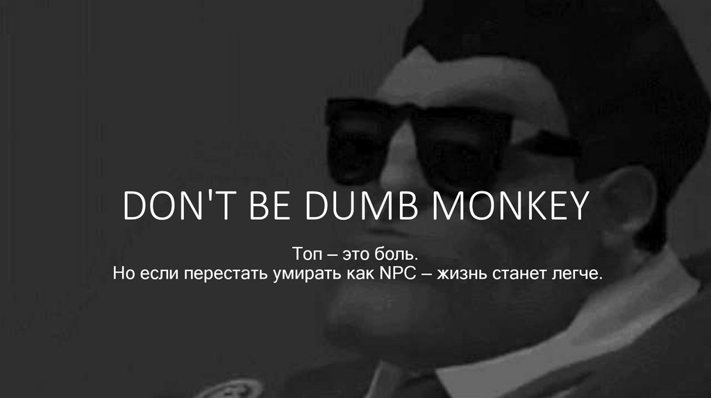 DON'T BE DUMB MONKEY