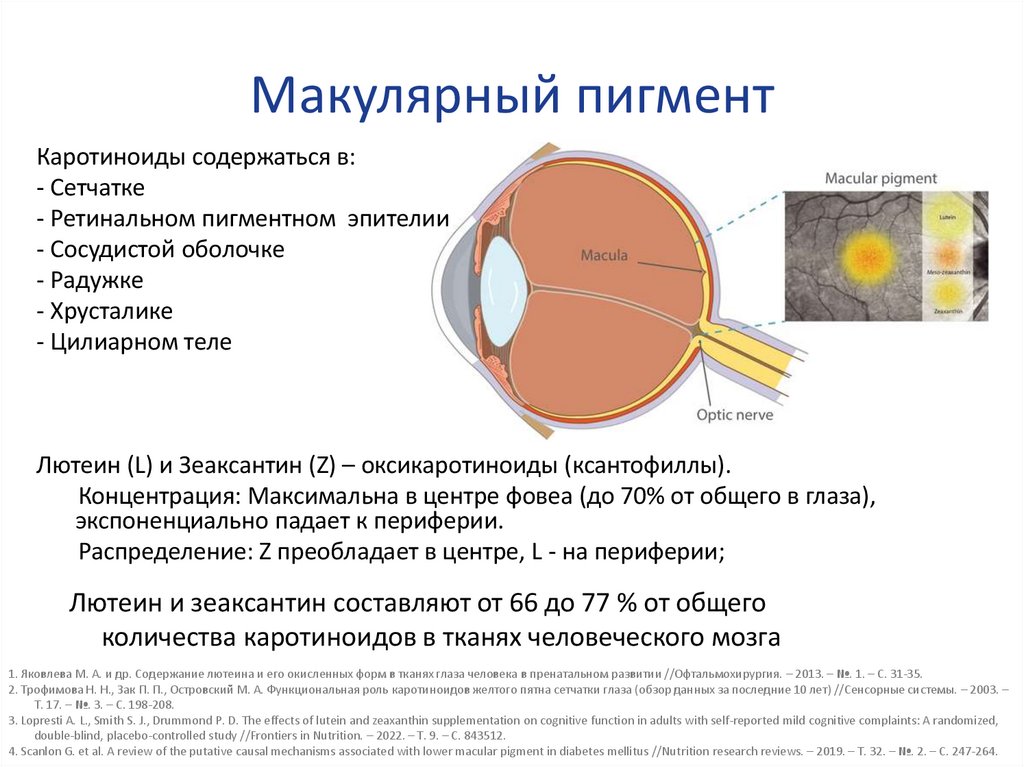 Макулярный пигмент