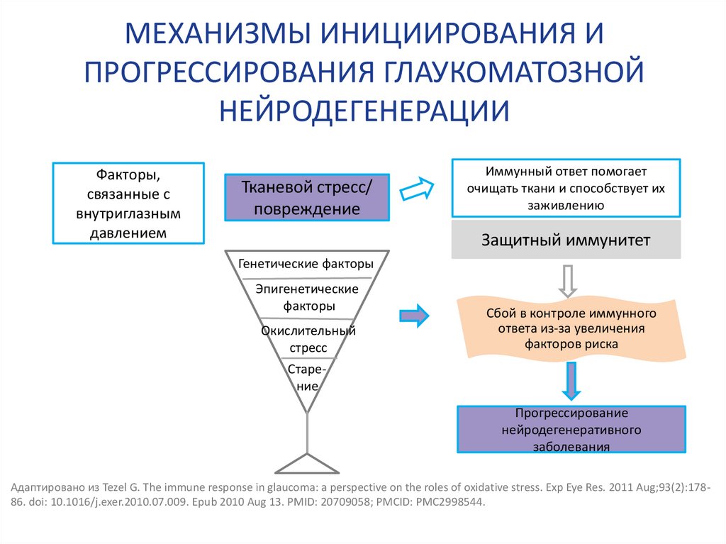 МЕХАНИЗМЫ ИНИЦИИРОВАНИЯ И ПРОГРЕССИРОВАНИЯ ГЛАУКОМАТОЗНОЙ НЕЙРОДЕГЕНЕРАЦИИ