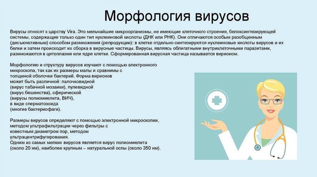 Морфология вирусов