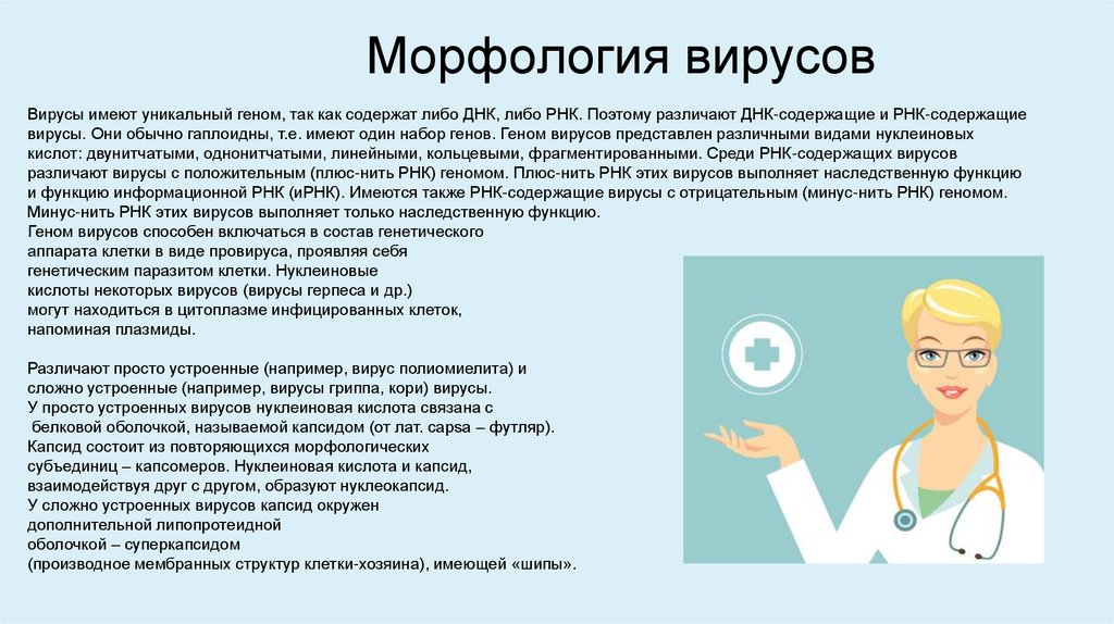 Морфология вирусов