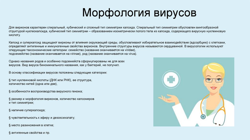 Морфология вирусов