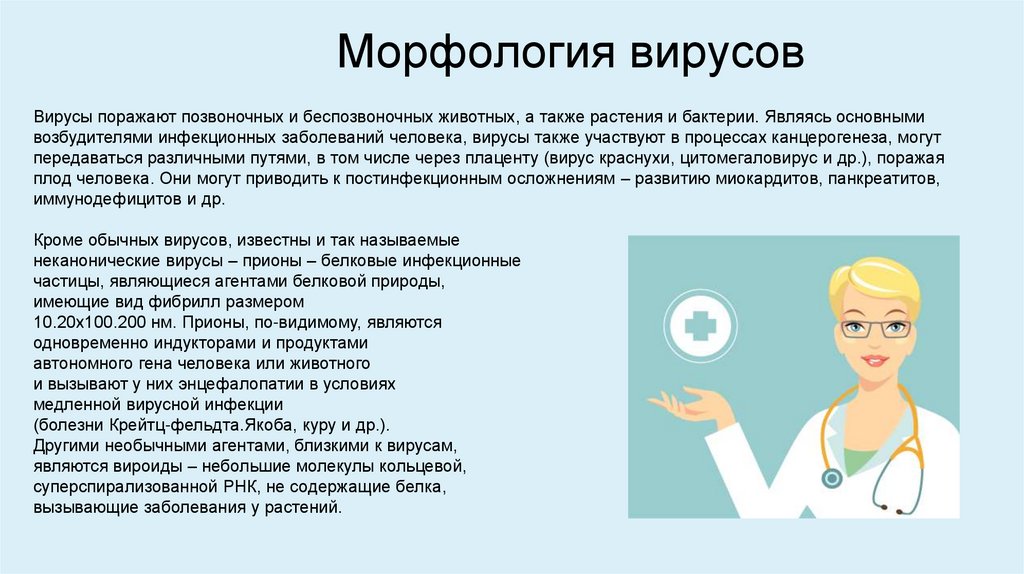 Морфология вирусов