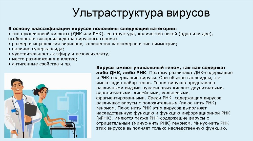 Ультраструктура вирусов
