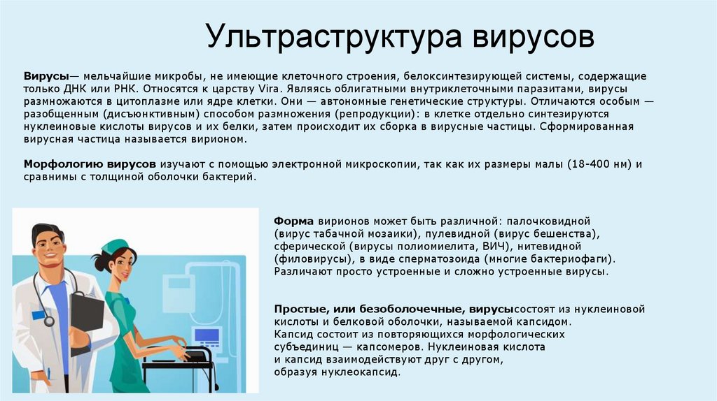 Ультраструктура вирусов