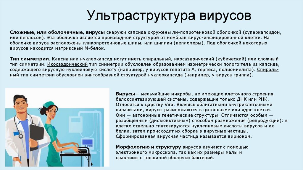 Ультраструктура вирусов