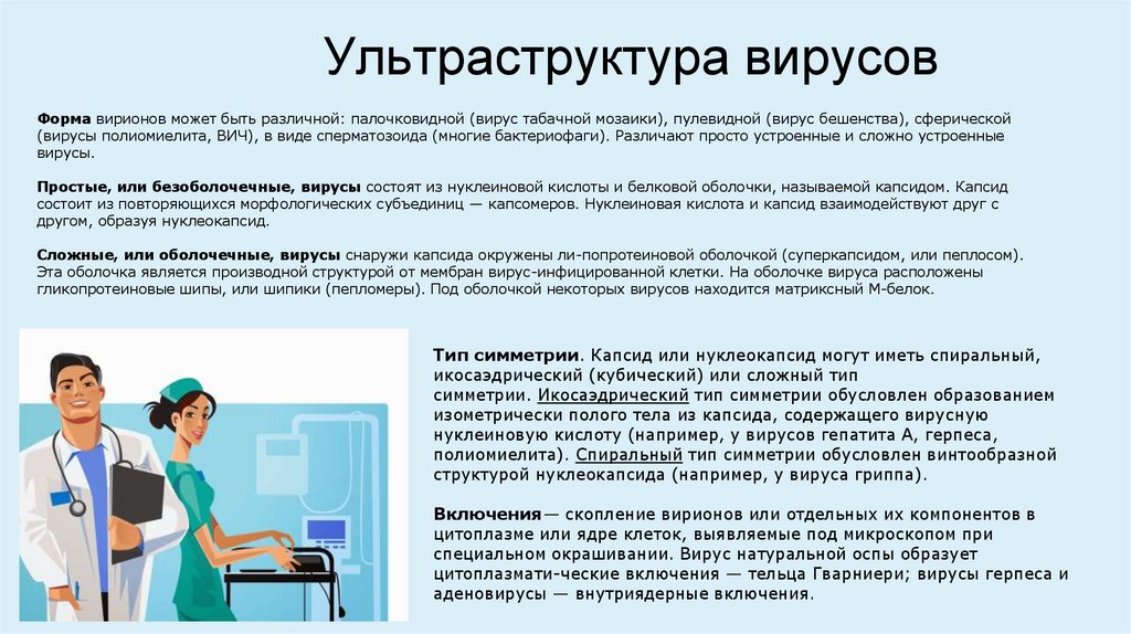 Ультраструктура вирусов