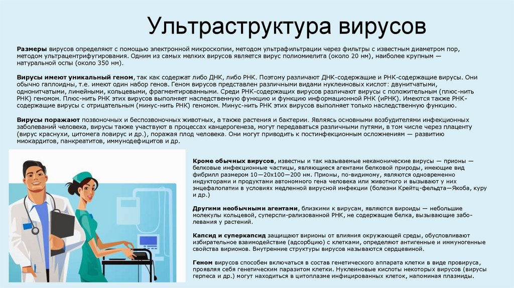 Ультраструктура вирусов