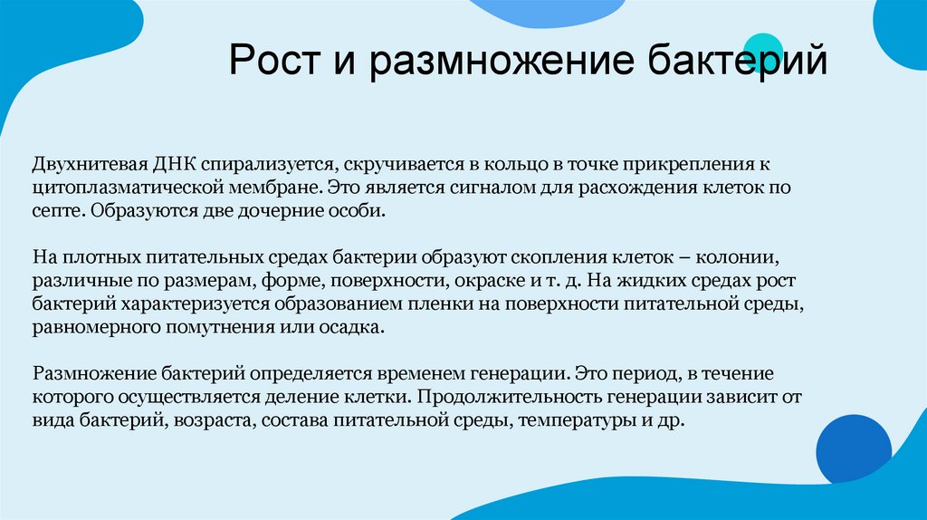 Рост и размножение бактерий