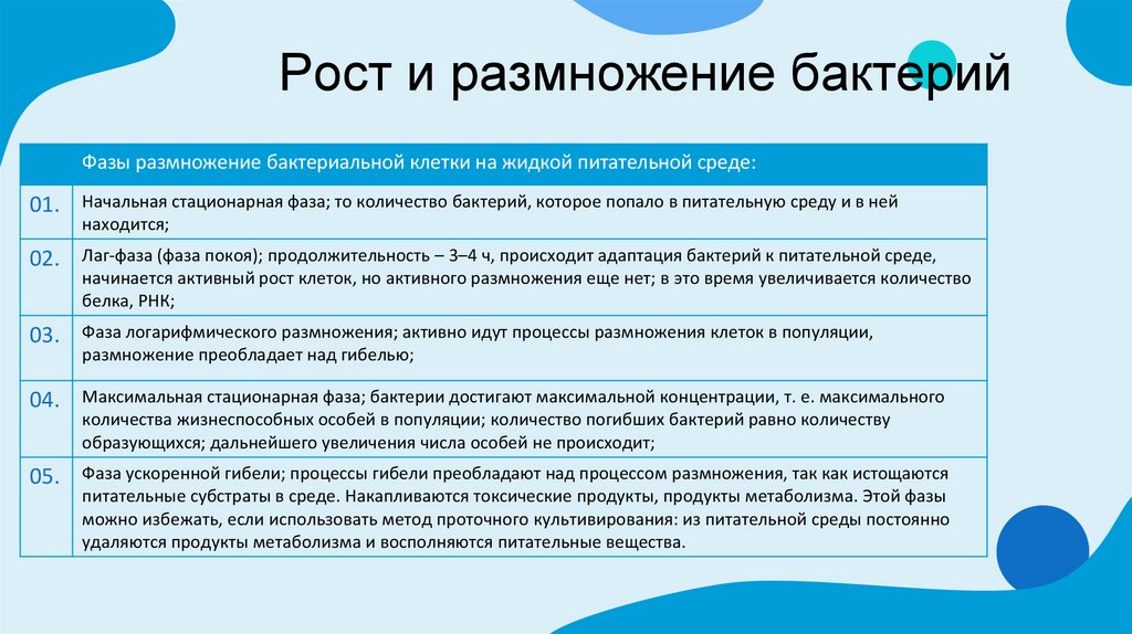 Рост и размножение бактерий