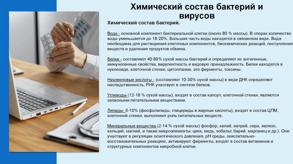 Химический состав бактерий и вирусов