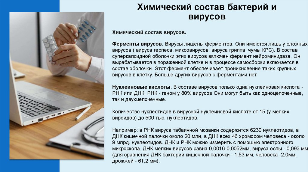 Химический состав бактерий и вирусов