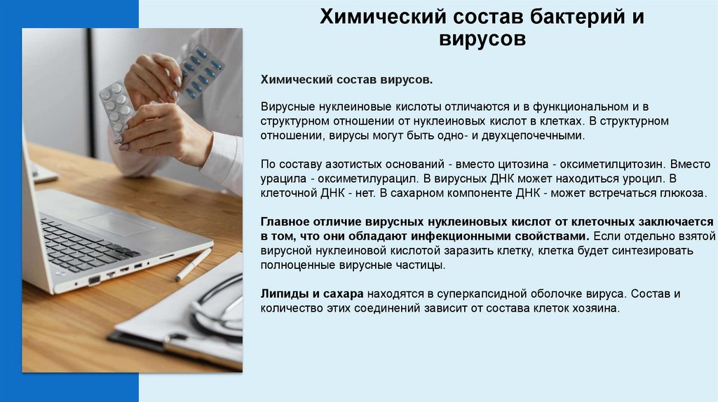 Химический состав бактерий и вирусов