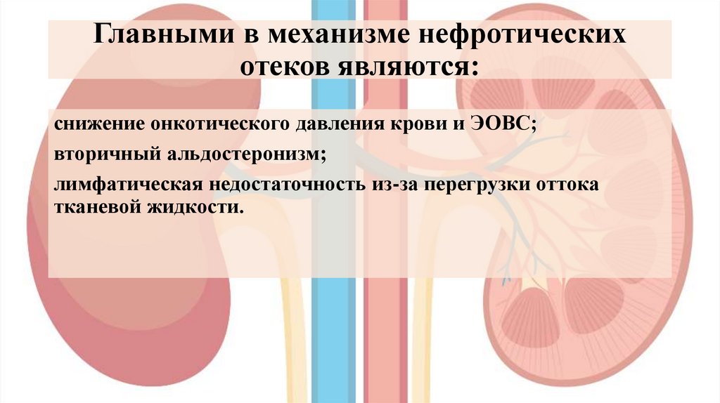 Главными в механизме нефротических отеков являются: