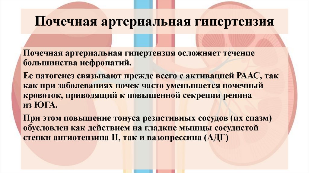 Почечная артериальная гипертензия