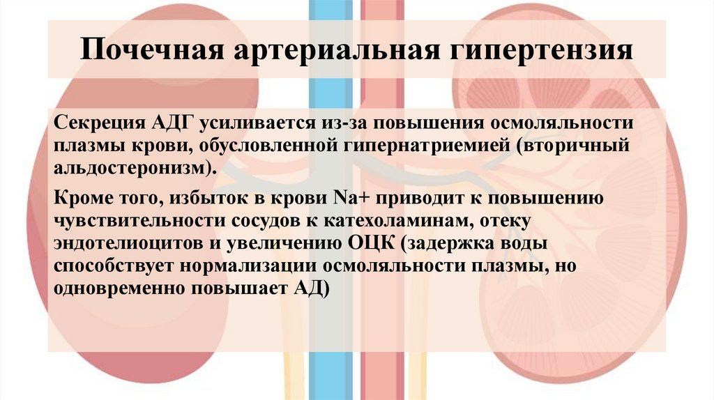 Почечная артериальная гипертензия