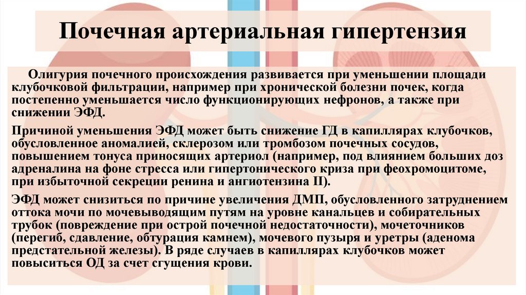 Почечная артериальная гипертензия