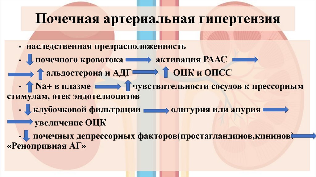 Почечная артериальная гипертензия