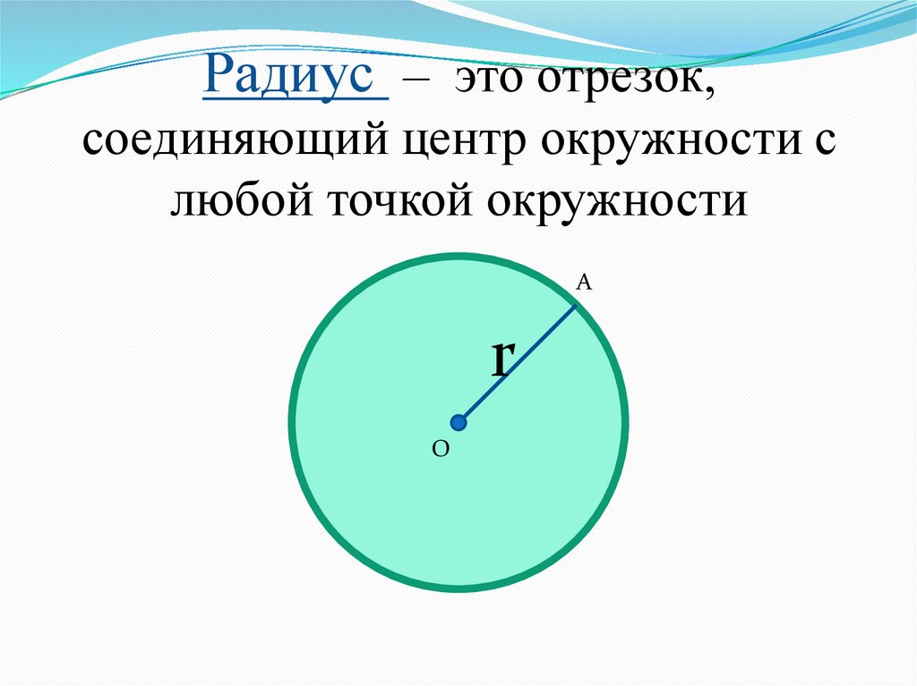 Радиус – это отрезок, соединяющий центр окружности с любой точкой окружности