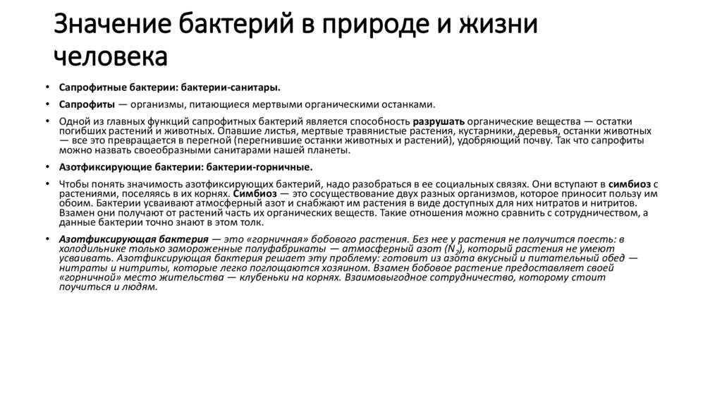 Значение бактерий в природе и жизни человека