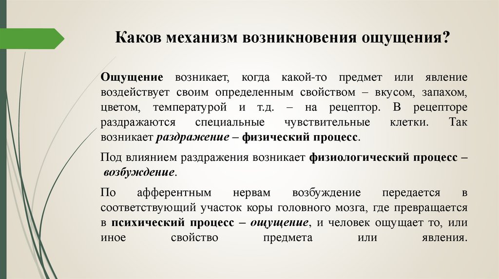 Каков механизм возникновения ощущения?