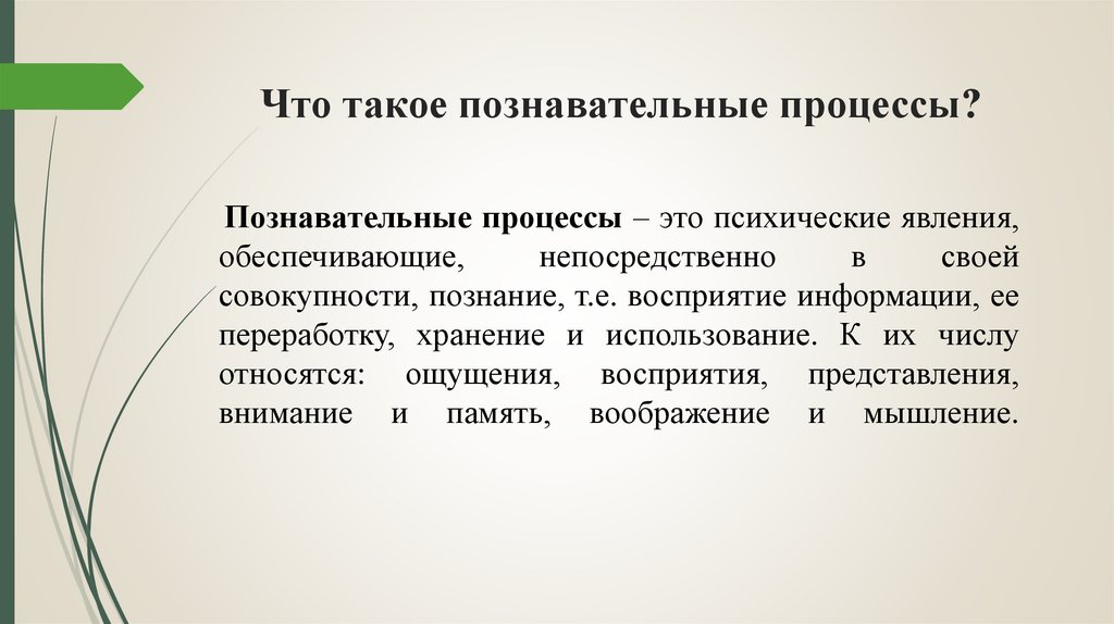 Что такое познавательные процессы?