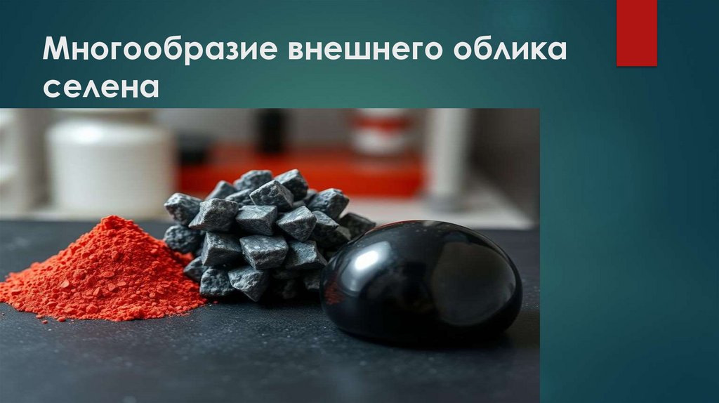 Многообразие внешнего облика селена