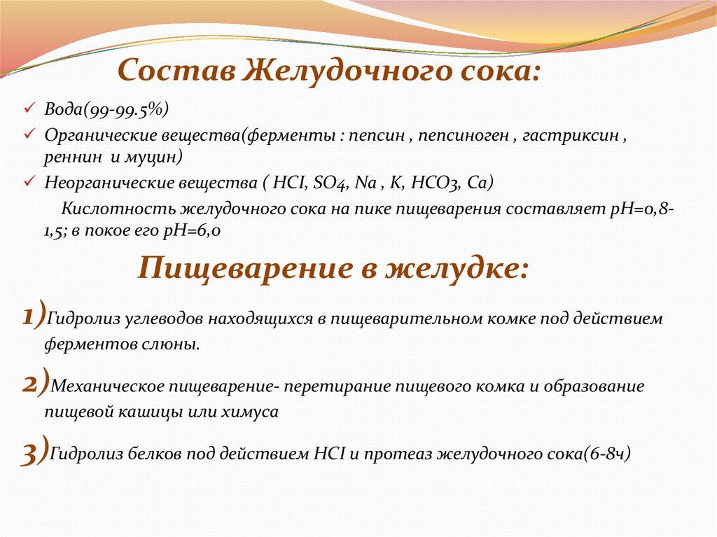 Состав Желудочного сока: