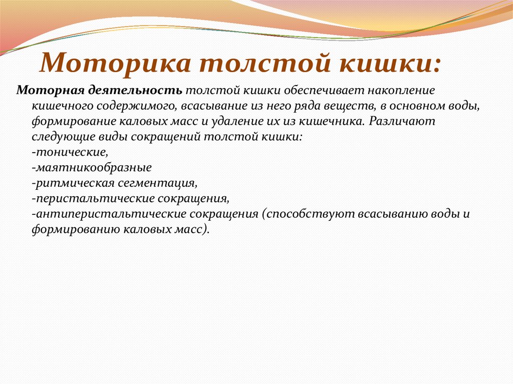 Моторика толстой кишки: