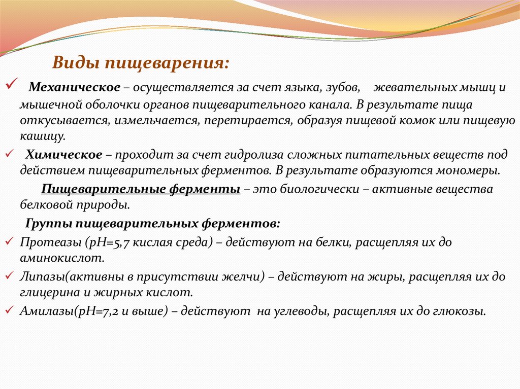 Виды пищеварения: