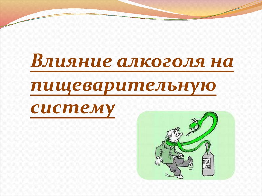 Влияние алкоголя на пищеварительную систему