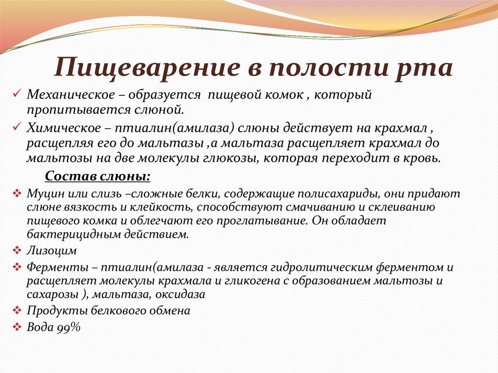 Пищеварение в полости рта