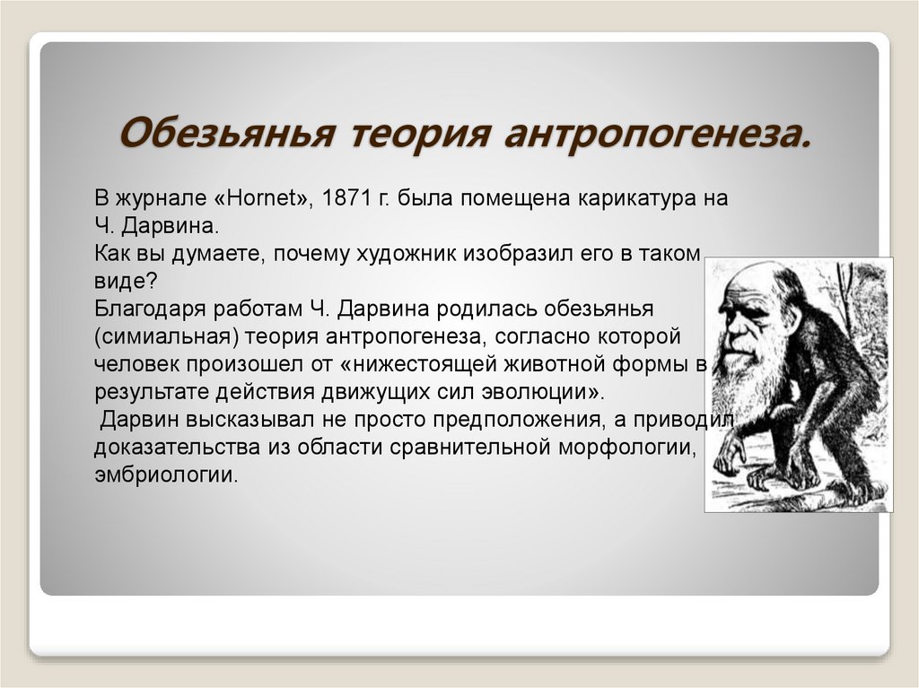 Обезьянья теория антропогенеза.