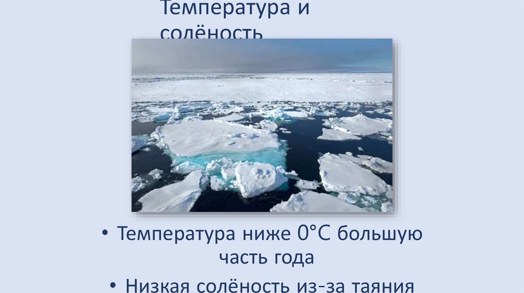 Температура и солёность