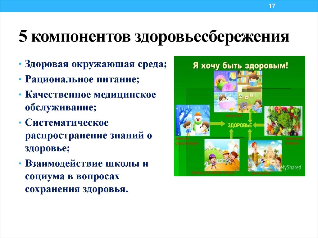 5 компонентов здоровьесбережения