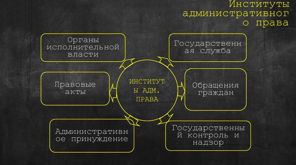 Институты административного права