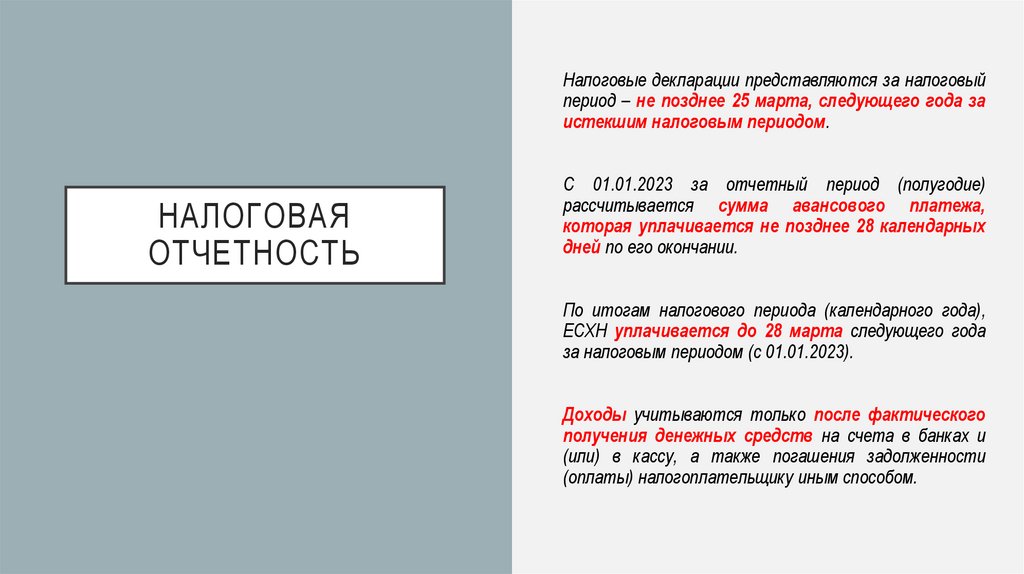 НАЛОГОВАЯ ОТЧЕТНОСТЬ