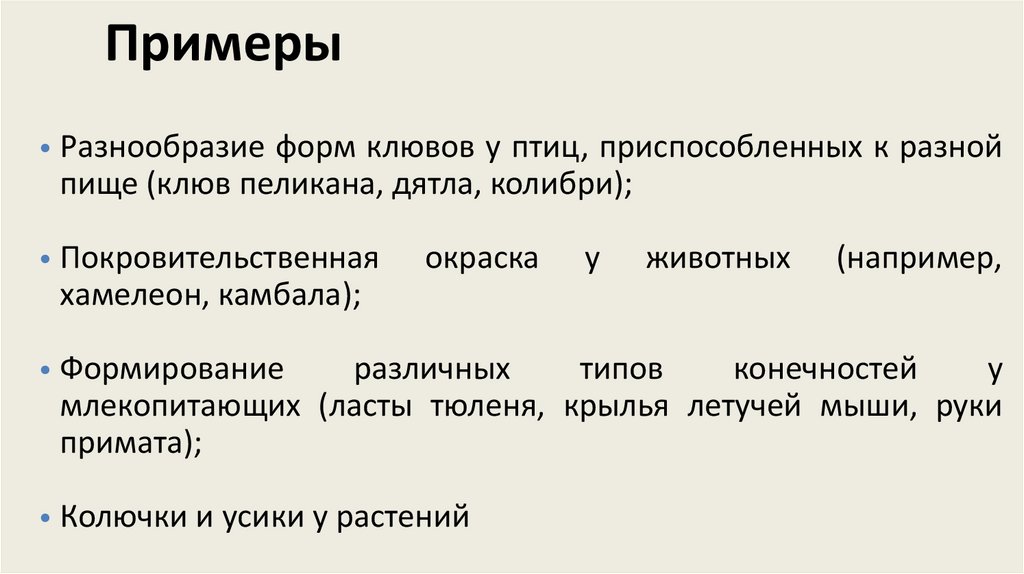 Примеры