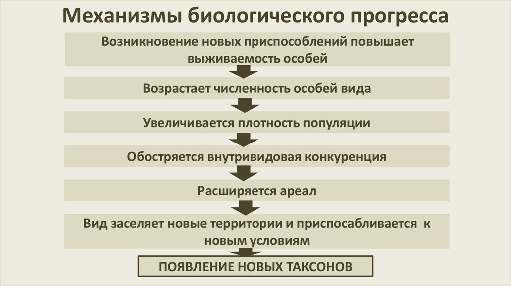 Механизмы биологического прогресса