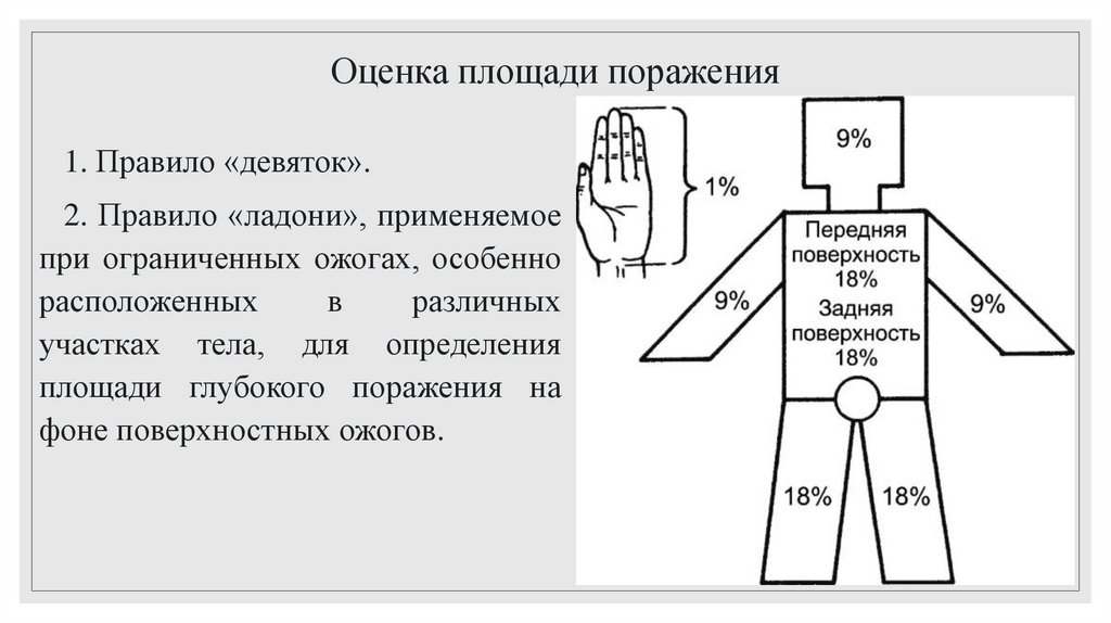 Оценка площади поражения