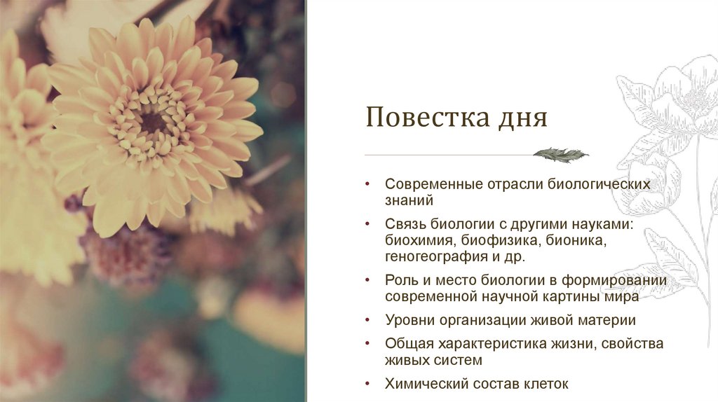 Повестка дня